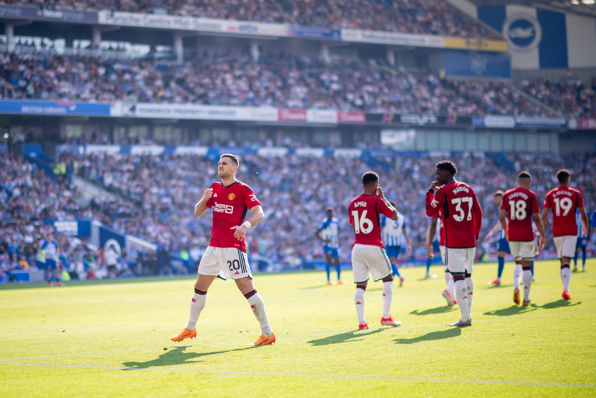 年运动员树 年运动员树